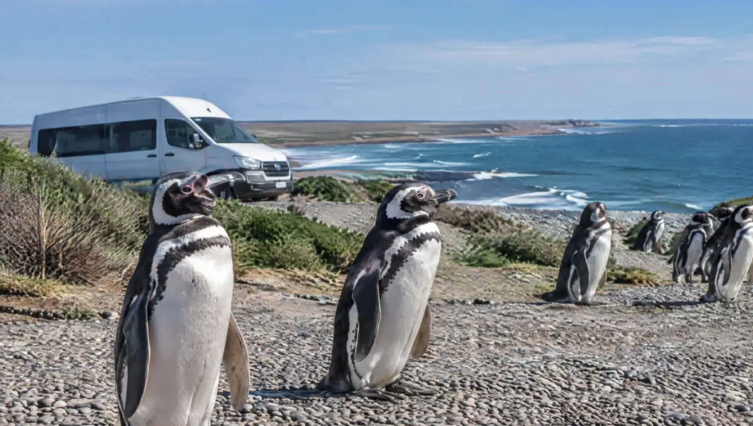 Private transfer car driving from Trelew to Punta Tombo through Patagonian steppe