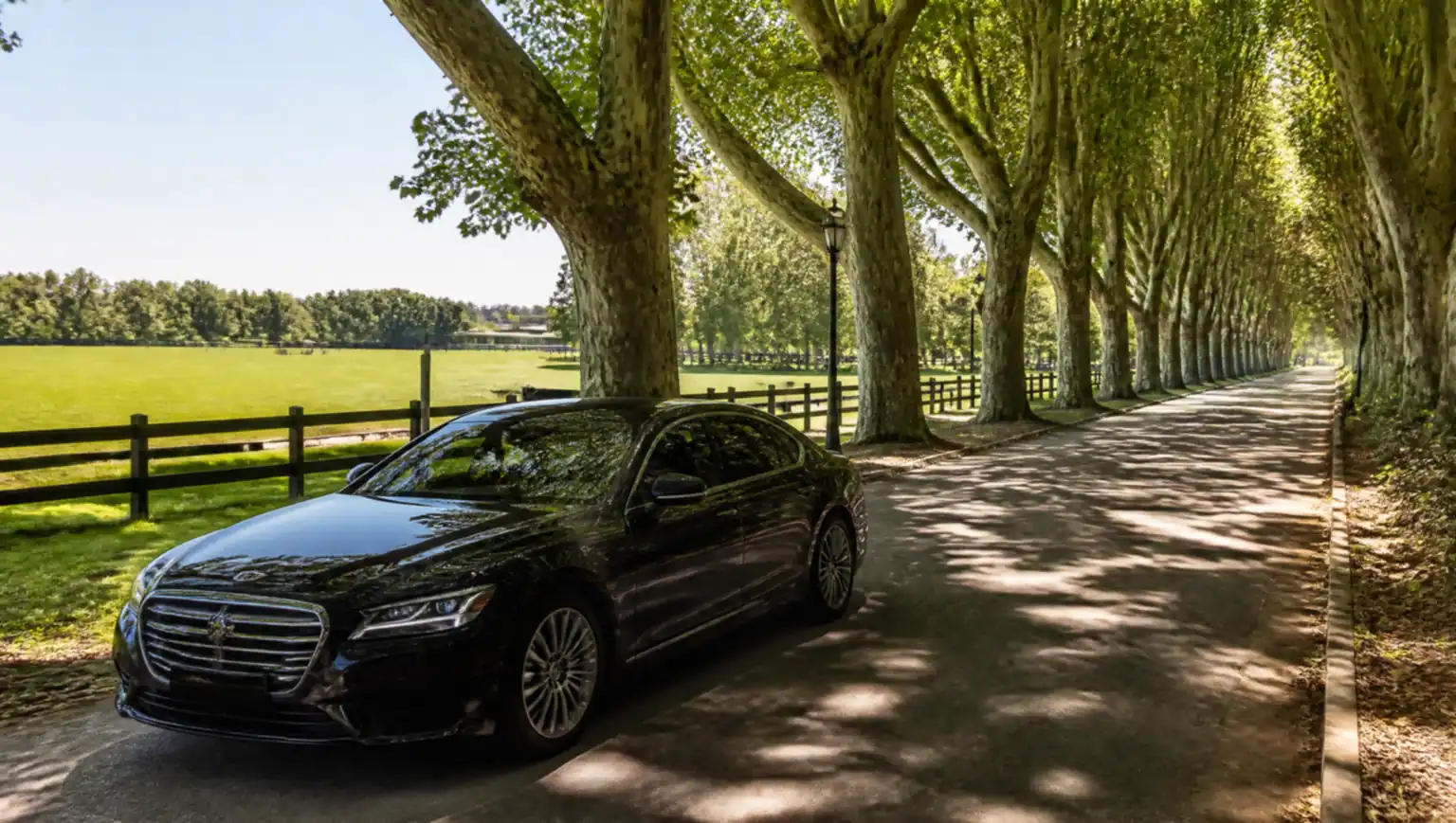Black executive car on a tree-lined road in Pilar near a polo field, on the way from Aeroparque
