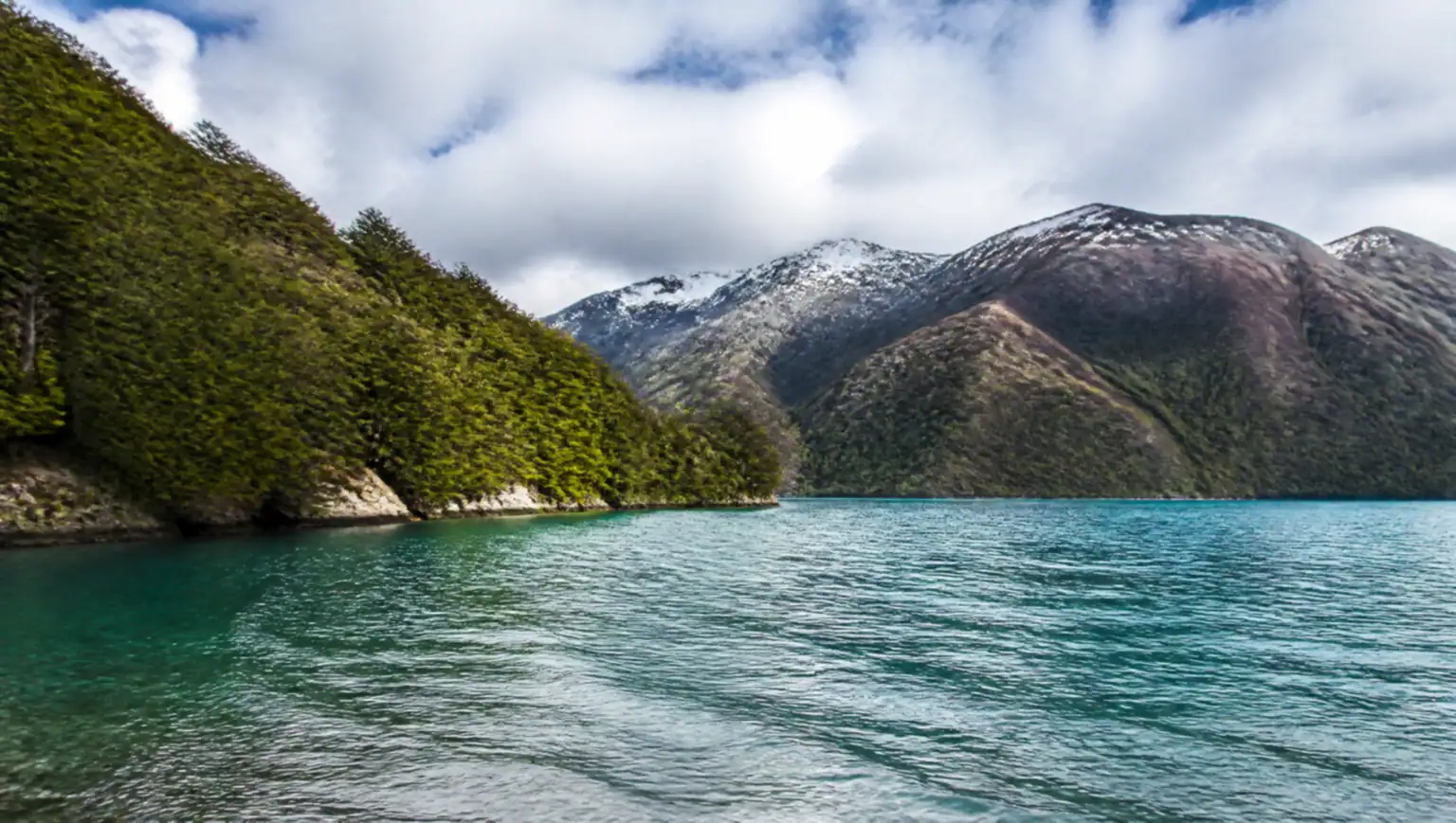 Emerald glacial lake with mountains and southern beech forest at Lago del Desierto, north of El Chaltén, Patagonia